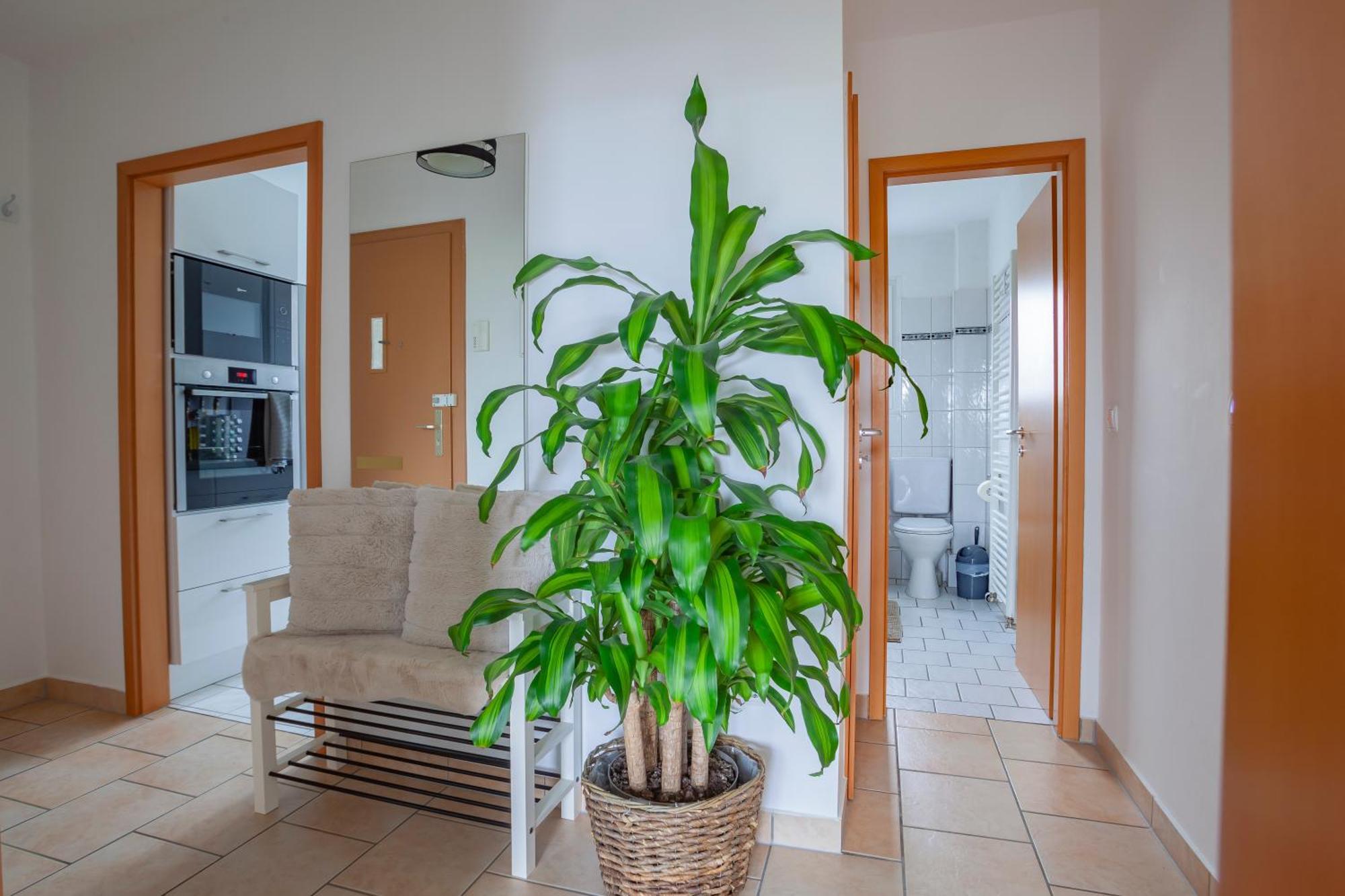 Exclusive 2-Room-City-Apartment - Contactless Check-In Ανόβερο Εξωτερικό φωτογραφία